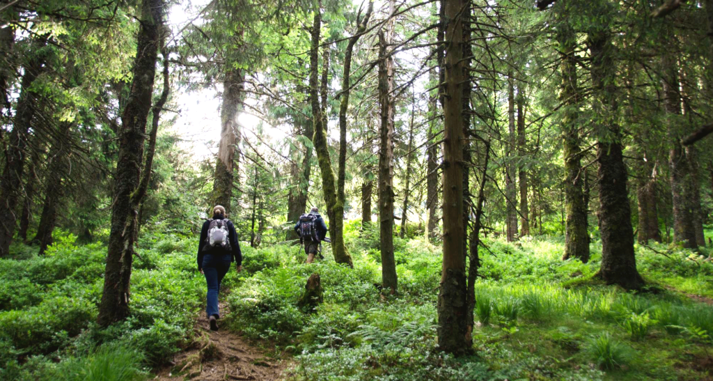 Albane ©sorties_de_route